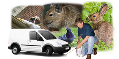 Scunthorpe local van